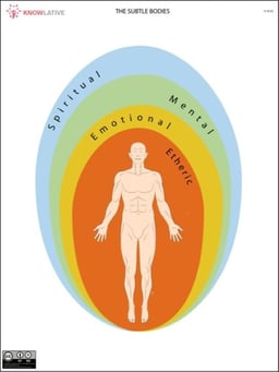 home [postgraduate-kinesiology.freshlearn.com]